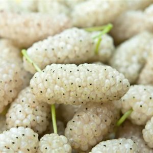 I'm Sure You Can't Identify At Least 15 Of These Berries Quiz 