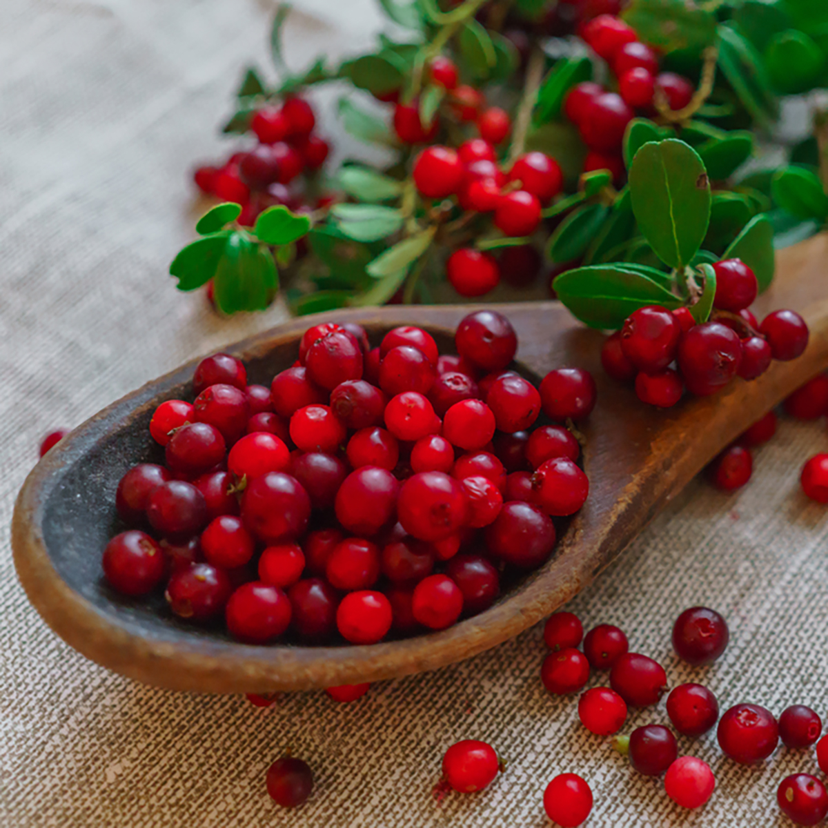 You got: Lingonberry! Eat at a HUGE Strawberry Buffet 🍓 to Find Out What Unique Berry You Are