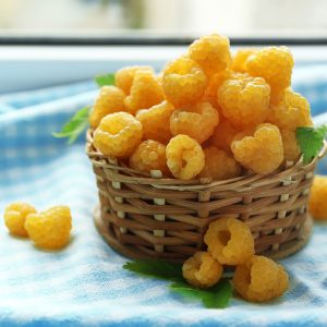 I'm Sure You Can't Identify At Least 15 Of These Berries Quiz 