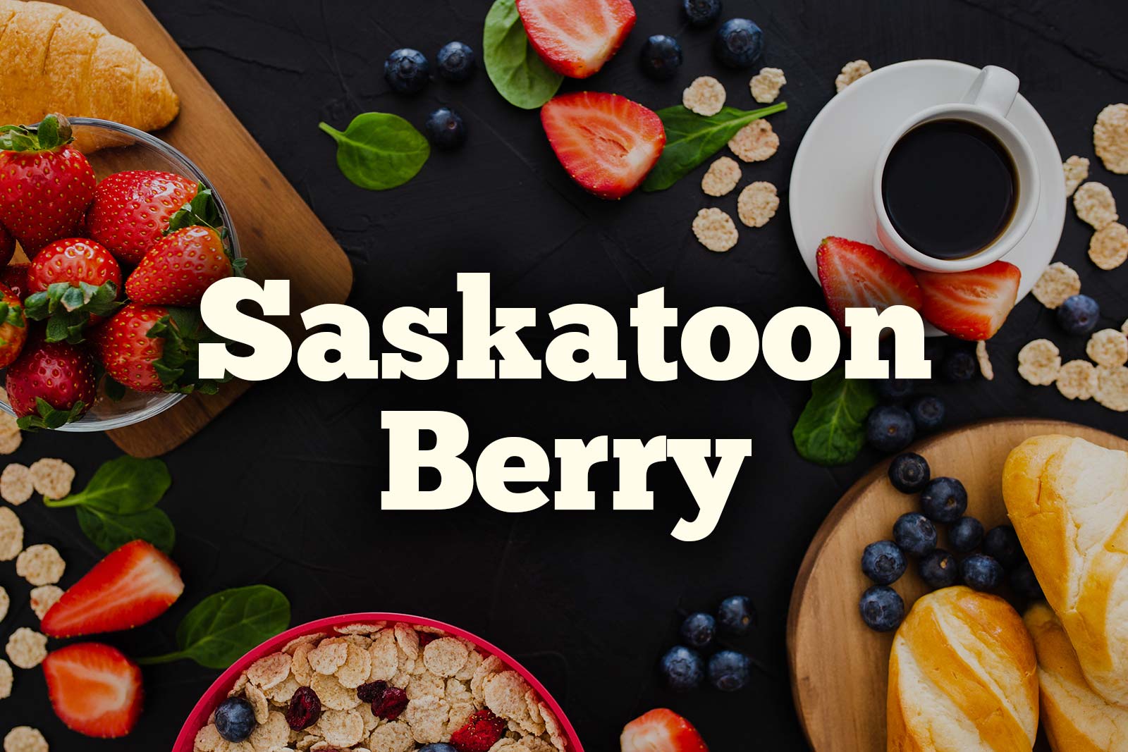 🍓 I’m Pretty Sure You Can’t Identify at Least 15/21 of These Berries Background Saskatoon Berry