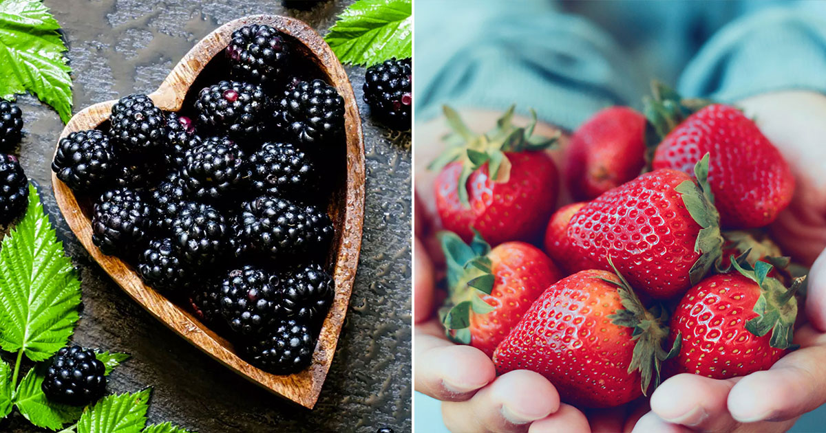 🍓 I’m Pretty Sure You Can’t Identify at Least 15/21 of These Berries