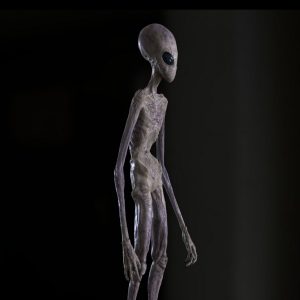 🚀 How Long Would You Survive On Mars? Quiz Look for alien life