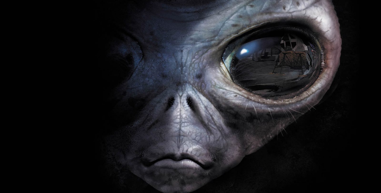 🛸 Can You Actually Survive an Alien Invasion? Grey Alien With Reflection In Eye1