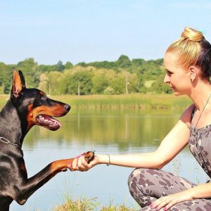 🐕 How Much of a Dog Person Are You? Nothing; again, dogs are the best