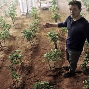 🚀 How Long Would You Last In Outer Space? Quiz Farm potatoes