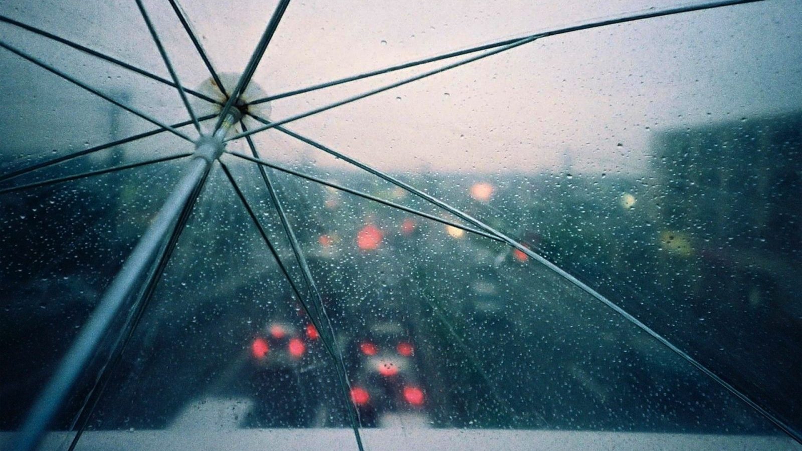 🍀 How Superstitious Are You? Rain Umbrella