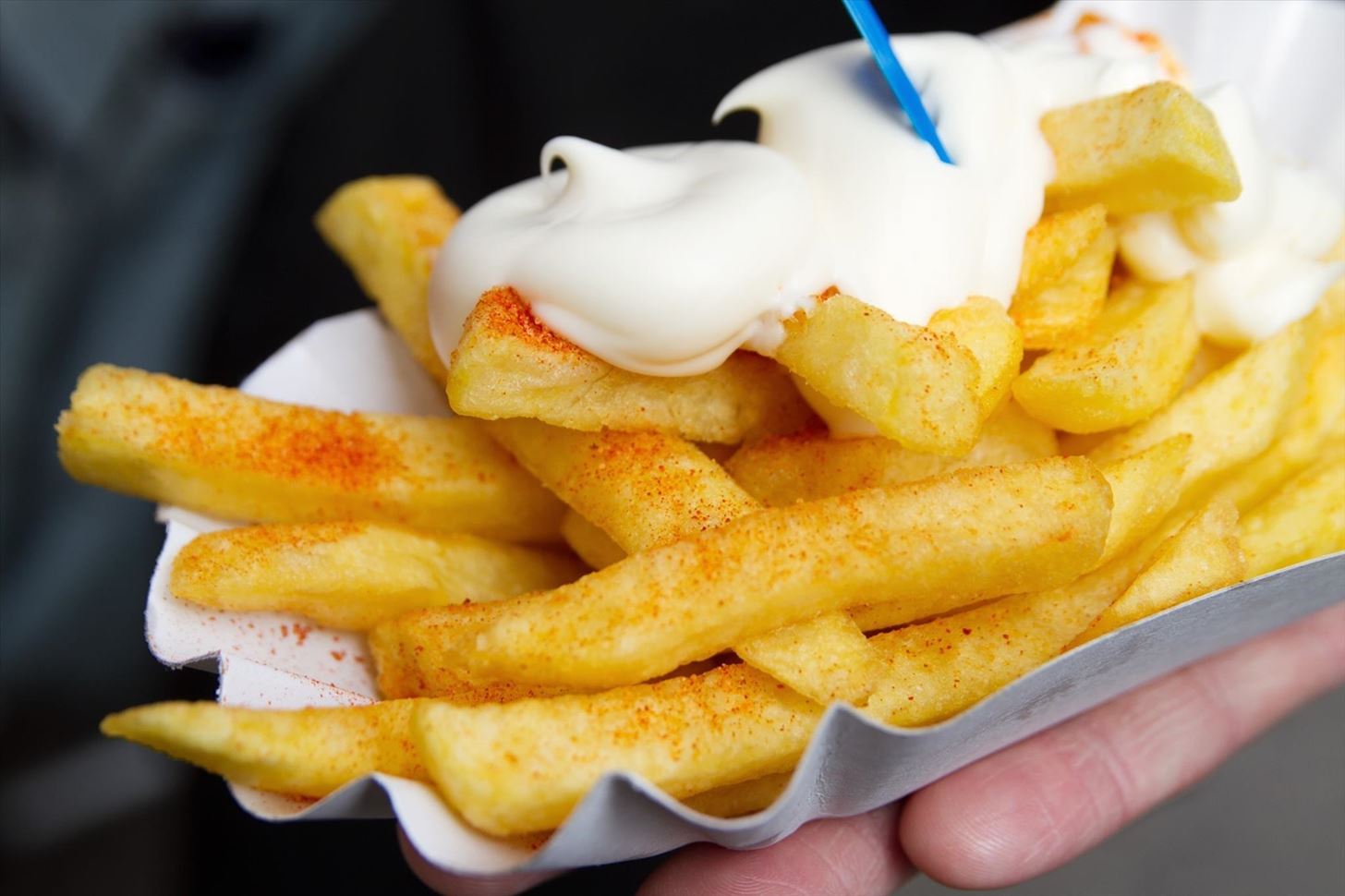How Many of These Foods Would You Eat With Mayonnaise? French Fries With Mayonnaise