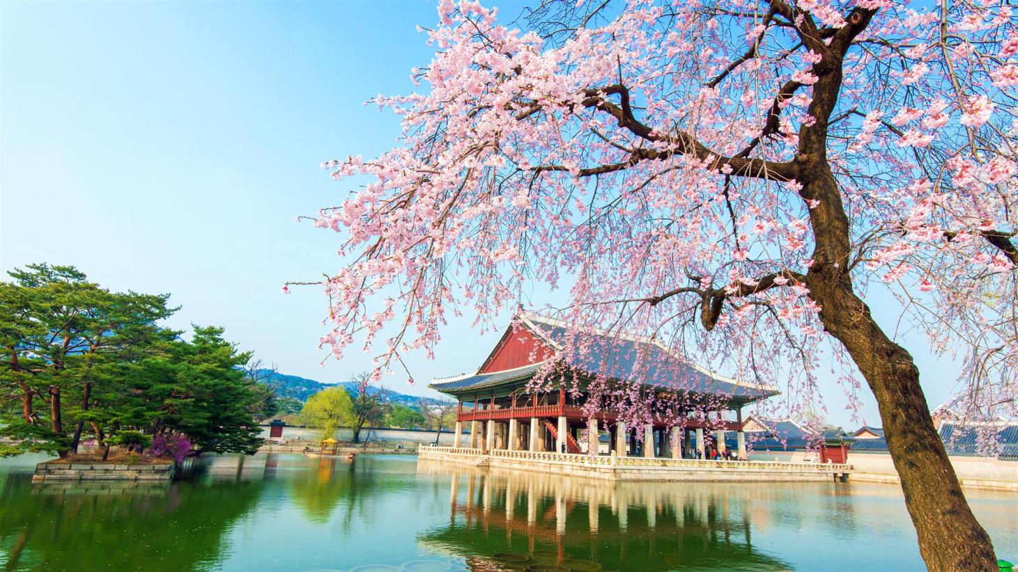 ✈️ How Many of the 20 Best Countries for Tourists Have You Visited? South Korea