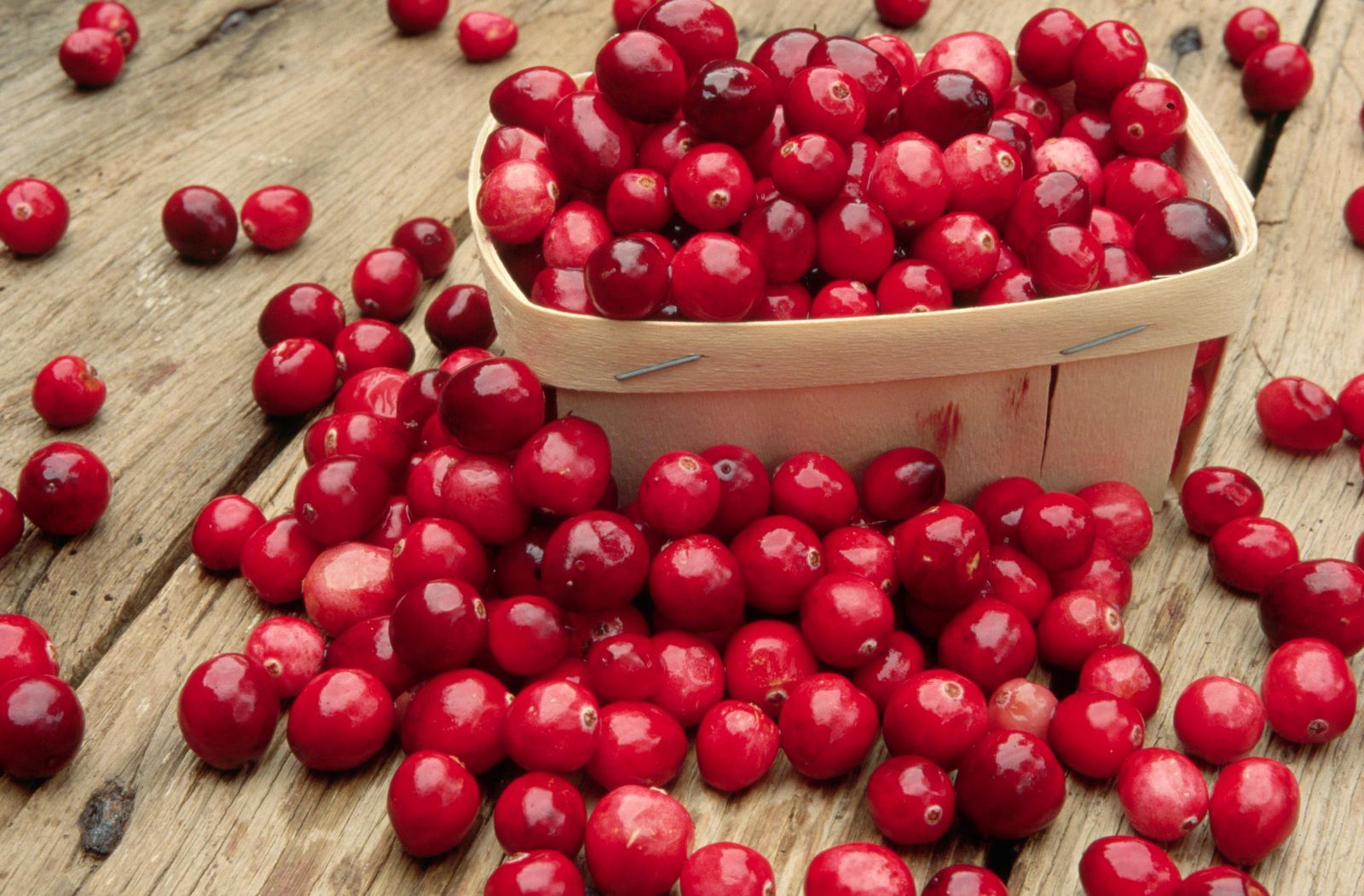 What Fast Food Item Matches Your Personality? Quiz Cranberries