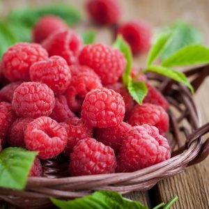 Here Are 18 Fruits — I'll Be Impressed If You Can ID 14… Quiz 