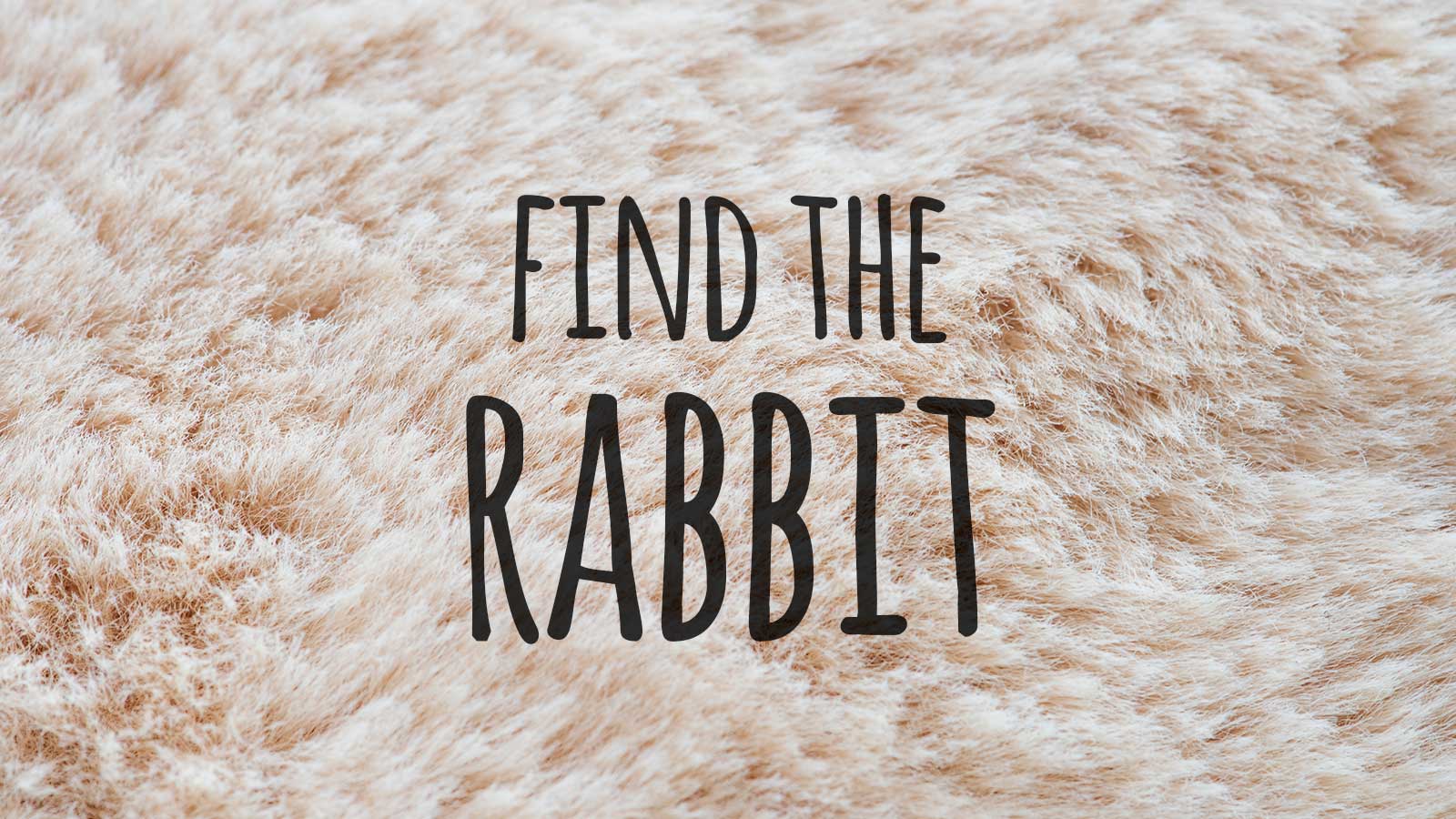 🐹 Hey, We Bet You Can’t Identify at Least 16/21 of These Baby Animals Text Rabbit