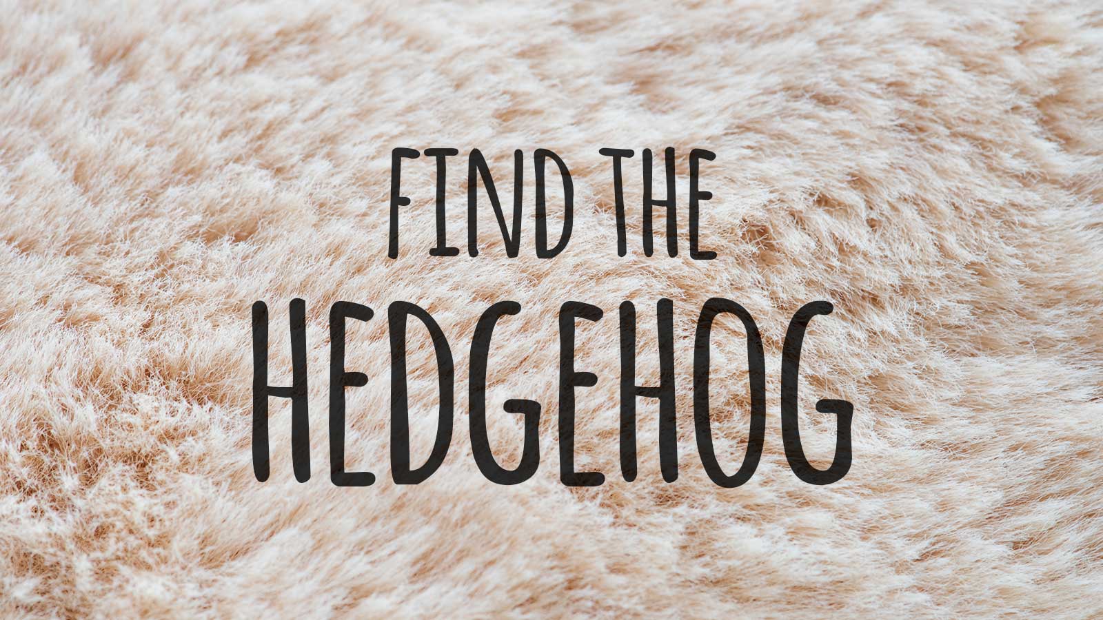 🐹 Hey, We Bet You Can’t Identify at Least 16/21 of These Baby Animals Text Hedgehog