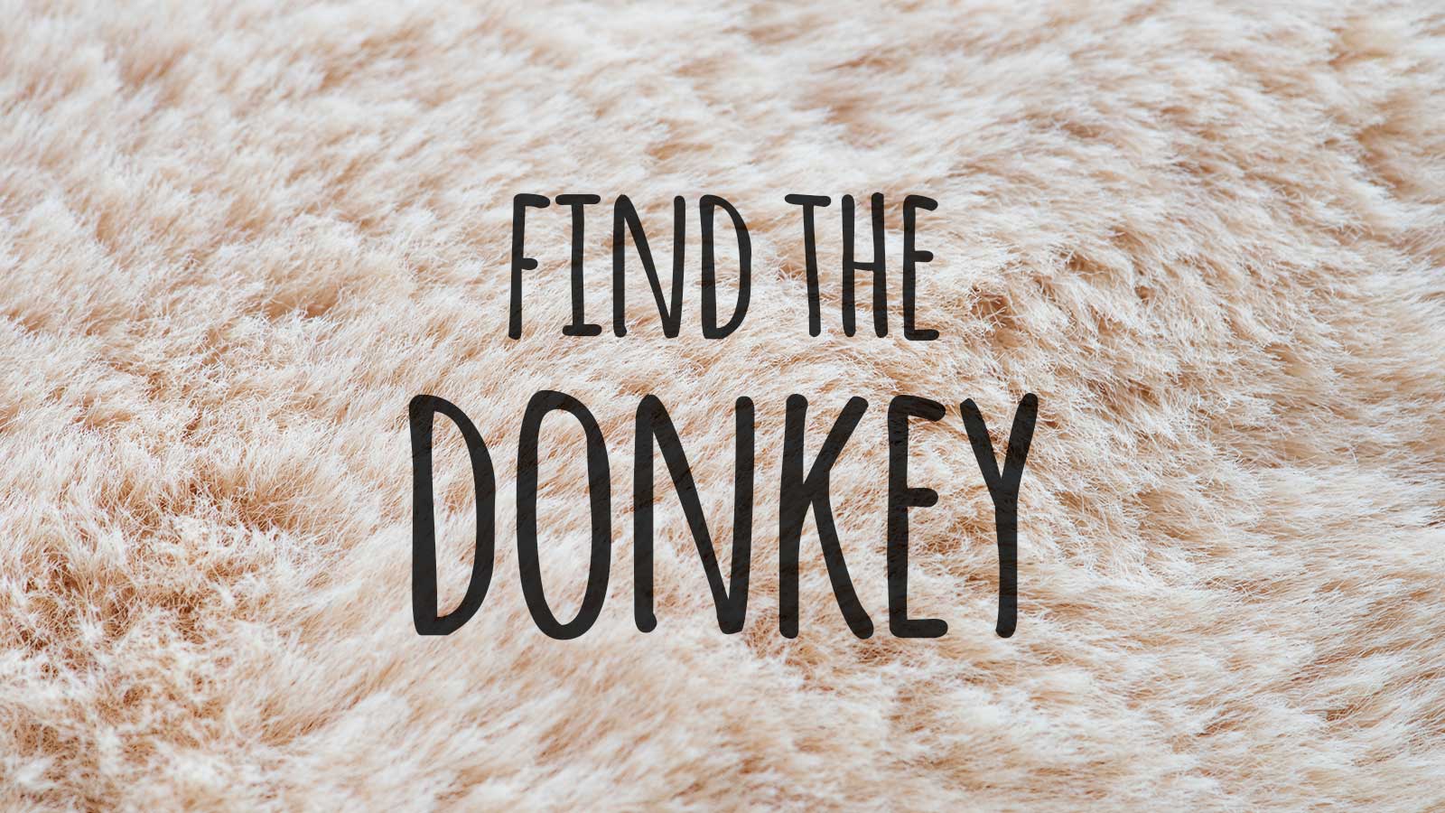 🐹 Hey, We Bet You Can’t Identify at Least 16/21 of These Baby Animals Text Donkey