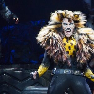 😺 How Much Of A Cat Person Are You? Quiz Hated it!
