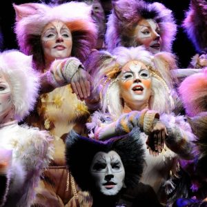 😺 How Much Of A Cat Person Are You? Quiz Loved it!