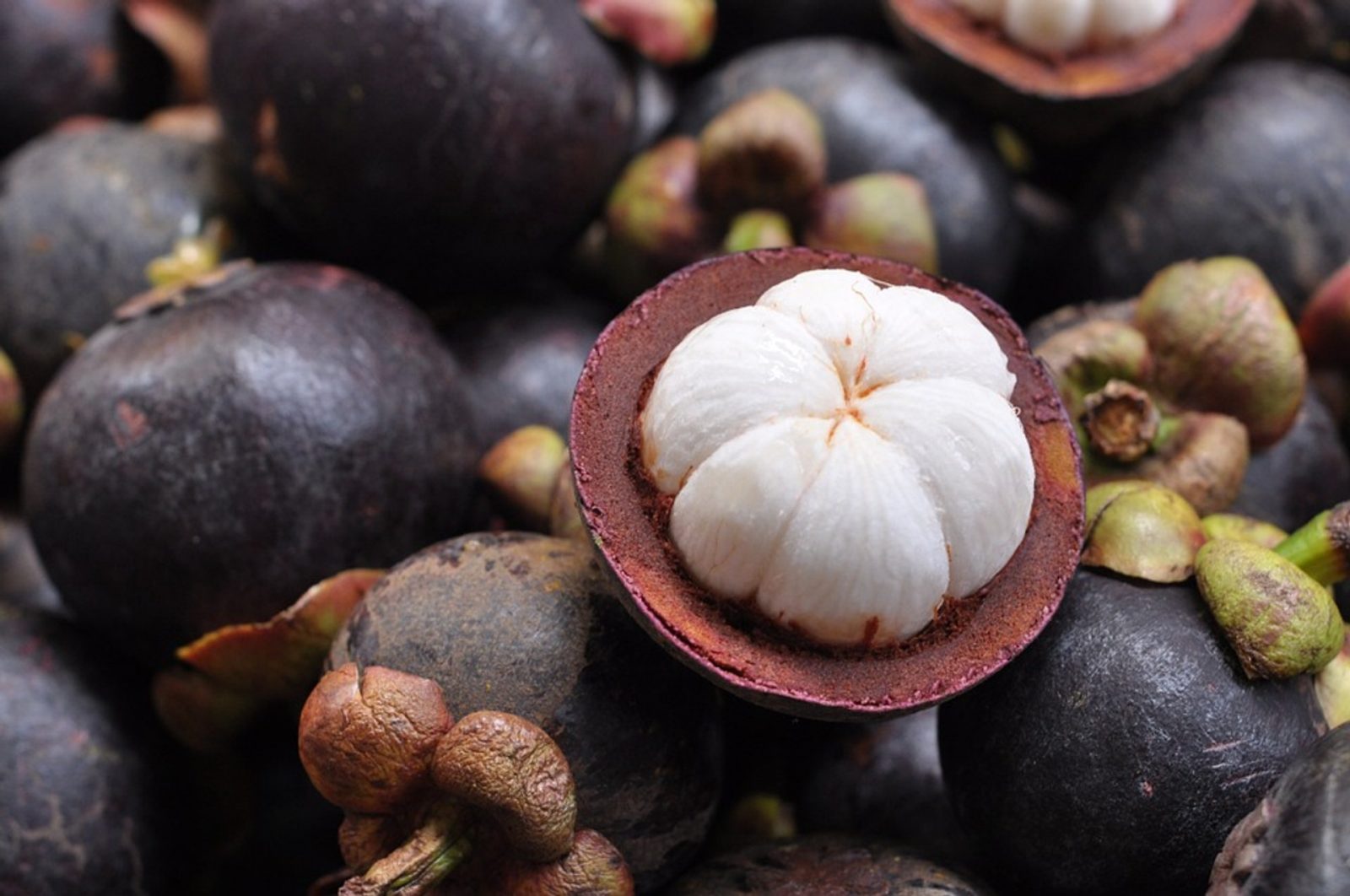 🍍 You Haven’t Really Lived Unless You’ve Tried at Least 12 of These Tropical Fruits Mangosteen