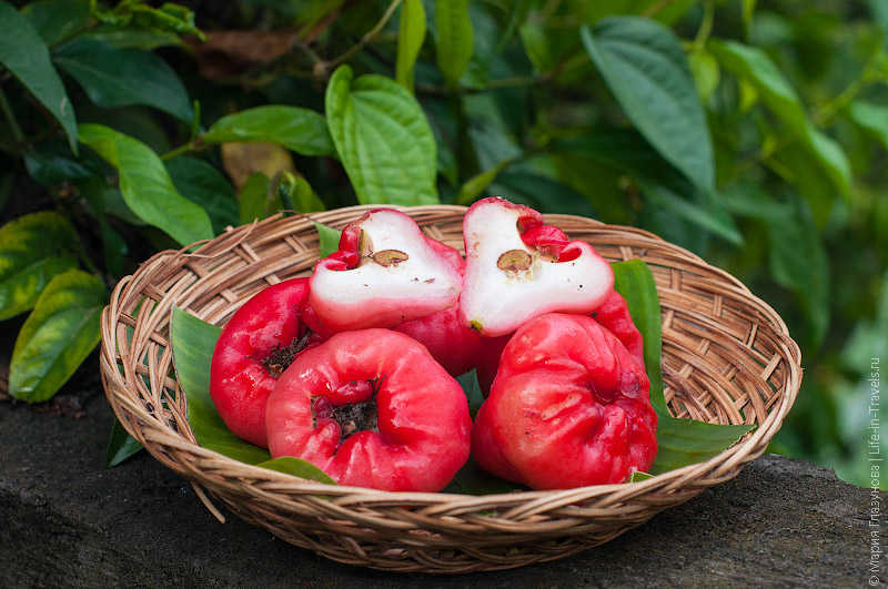 🍍 You Haven’t Really Lived Unless You’ve Tried at Least 12 of These Tropical Fruits Rose Apple