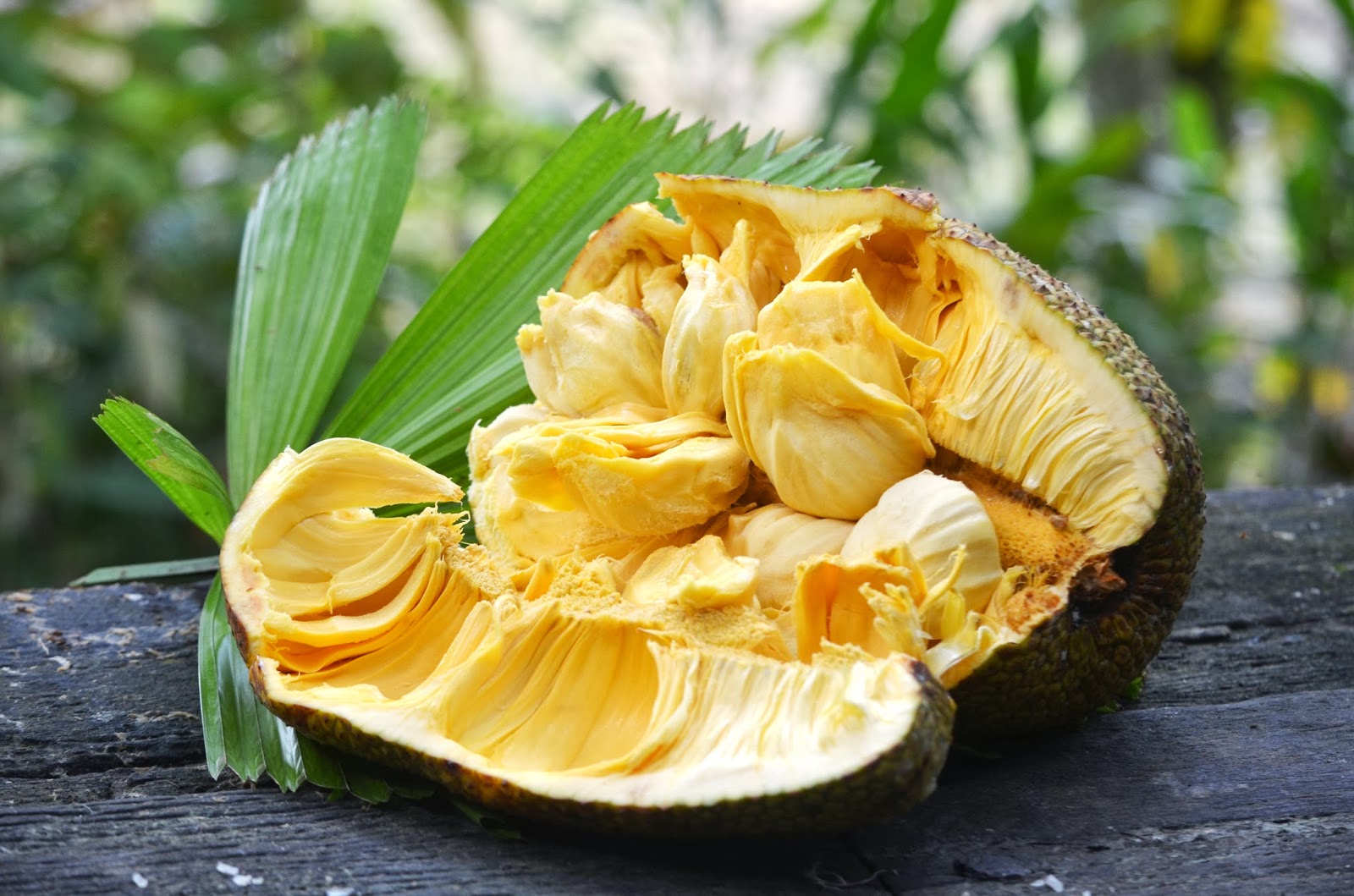 🍍 You Haven’t Really Lived Unless You’ve Tried at Least 12 of These Tropical Fruits Cempedak