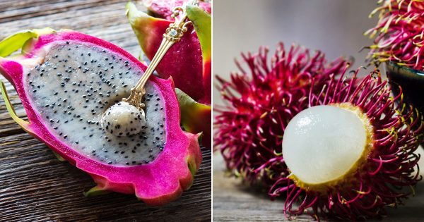 🍍 You Haven’t Really Lived Unless You’ve Tried at Least 12 of These Tropical Fruits