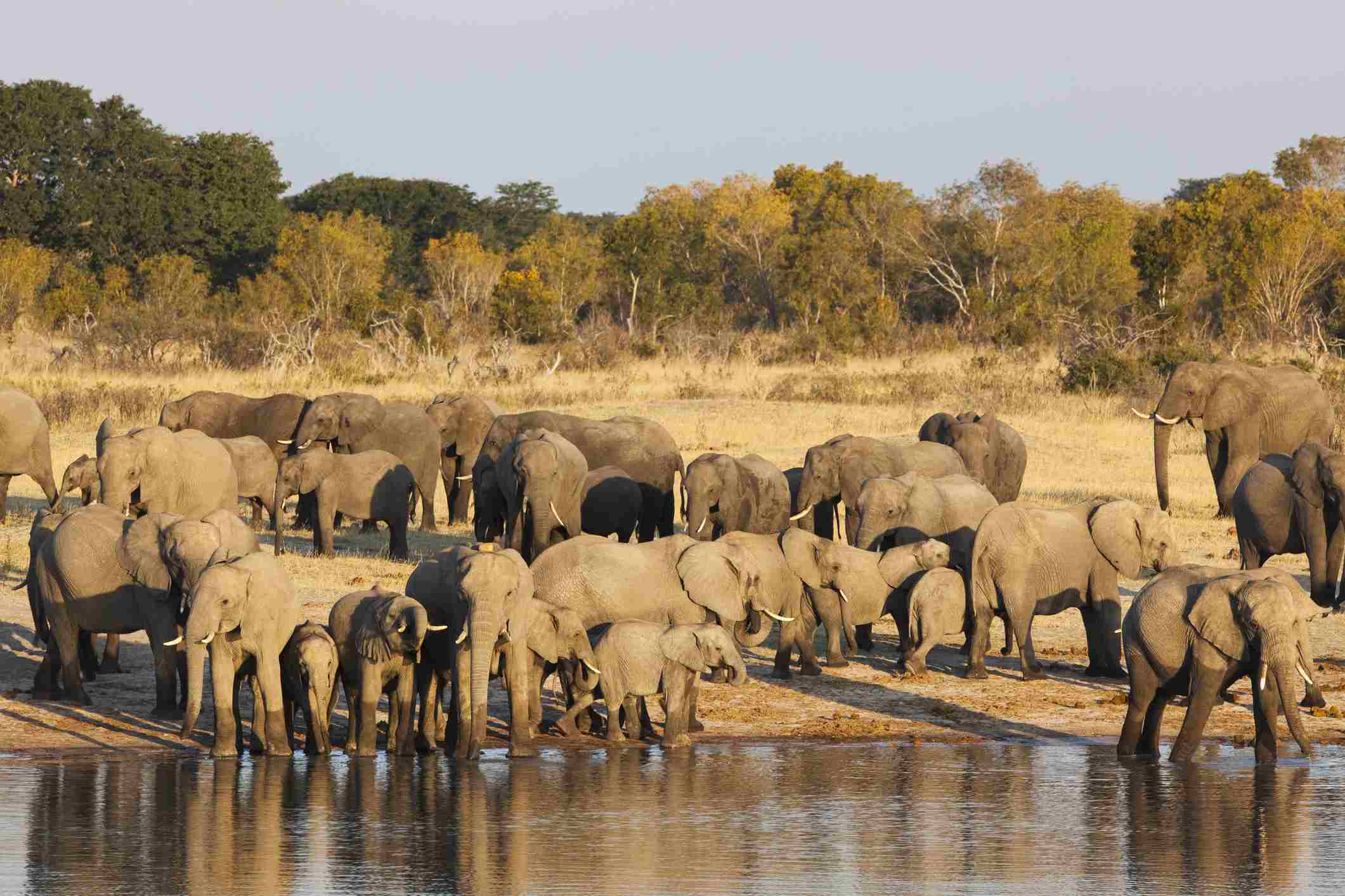 History Quiz! Match Countries To Their Former Names Zimbabwe