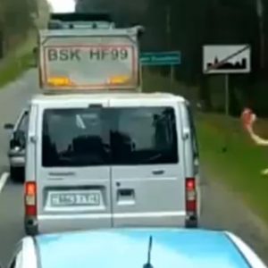 Are You Easily Annoyed? This Quiz Will Reveal How Much Patience You Have Catch up with the car and throw the trash back in the window