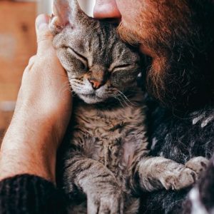 Are You A Cat Person? Quiz Wait 10 minutes and see if my cat wakes up