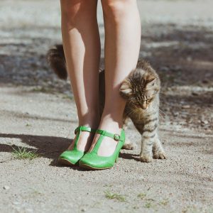 These Strange Questions Were Asked On Jeopardy! — Can Y… Quiz What is a cat walk?