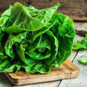 Salad Trivia Quiz Lettuce