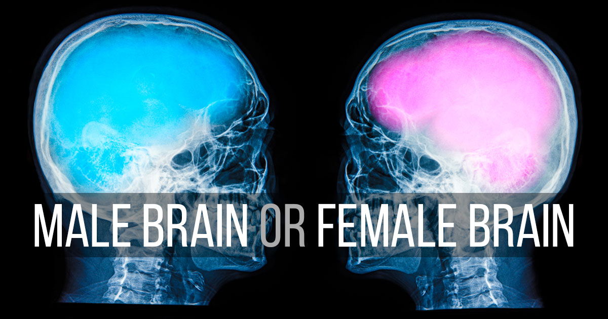 This Word Association Test Will Determine If You Have A Male Or Female Brain 1 