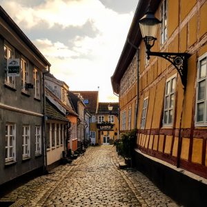 🗺 These 15 Around-The-World Geography Questions Will Reveal How Smart You Really Are Aalborg