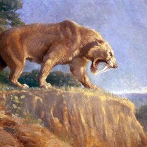 How Much Of A Random Knowledge Know-It-All Are You? Quiz Saber-toothed cat