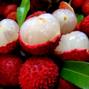 Fall-colored Food Quiz Lychee