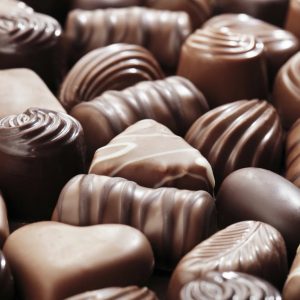 Do You Actually Prefer 🥧 Holiday Food or 🐶 Puppies? Chocolate