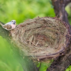 🦘 Even Wildlife Experts Can’t Get a Perfect Score on This Animal Quiz — Can You? Nests