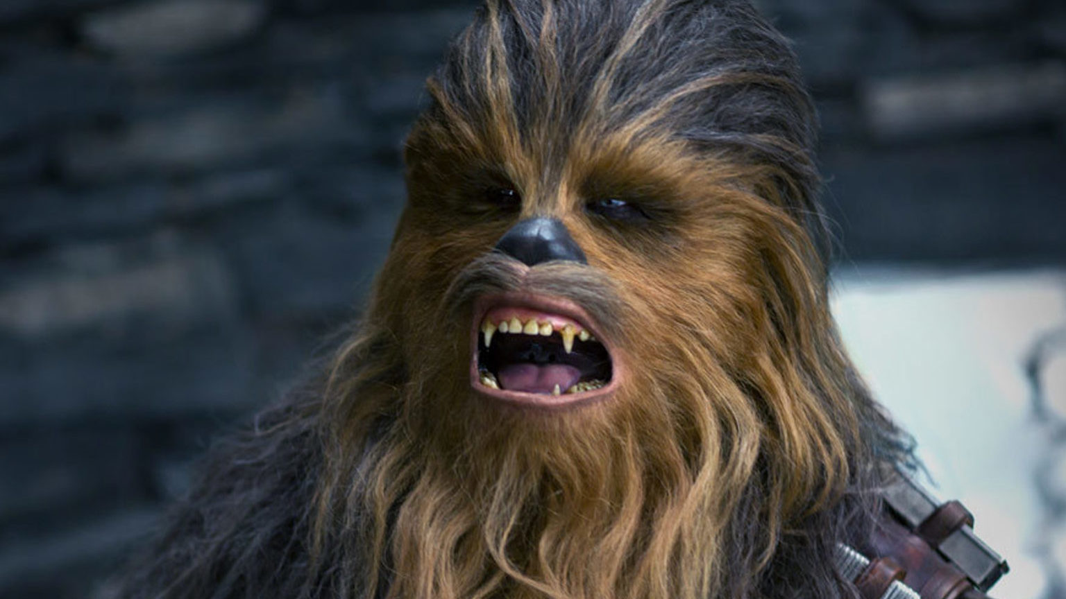 Do You Know a Little Bit About Everything: “Star Wars” Edition Star Wars Chewbacca