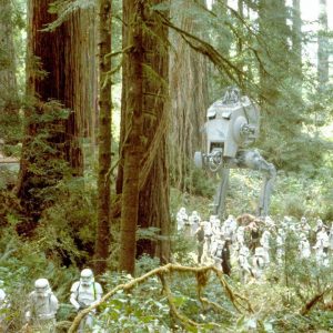 Do You Know a Little Bit About Everything: “Star Wars” Edition Endor