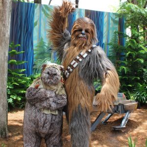 Which Star Wars Team Do You Belong To? Quiz Chewbacca