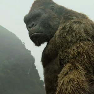 Can You Score 14/17 in This Random Knowledge Quiz? Skull Island