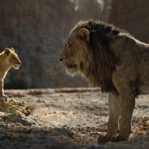 If You Ace This General Knowledge Quiz, You May Be Too Smart The Lion King