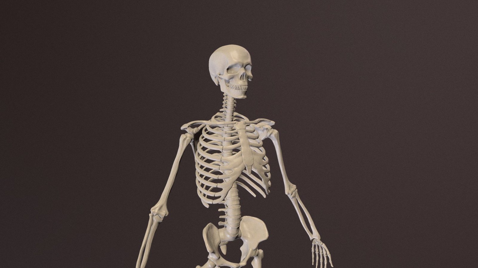 Only Straight-A Students Can Get at Least 12/15 on This General Knowledge Quiz skeleton