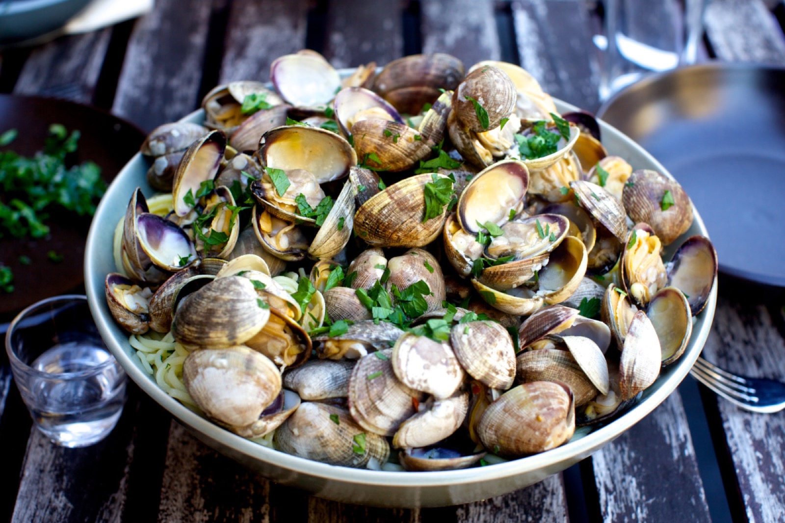 Say Yum Or Yuck to Seafood Dishes to Know How Picky You… Quiz Clams