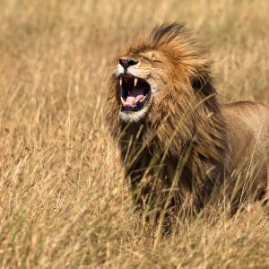 Winter Geography Quiz Tanzania