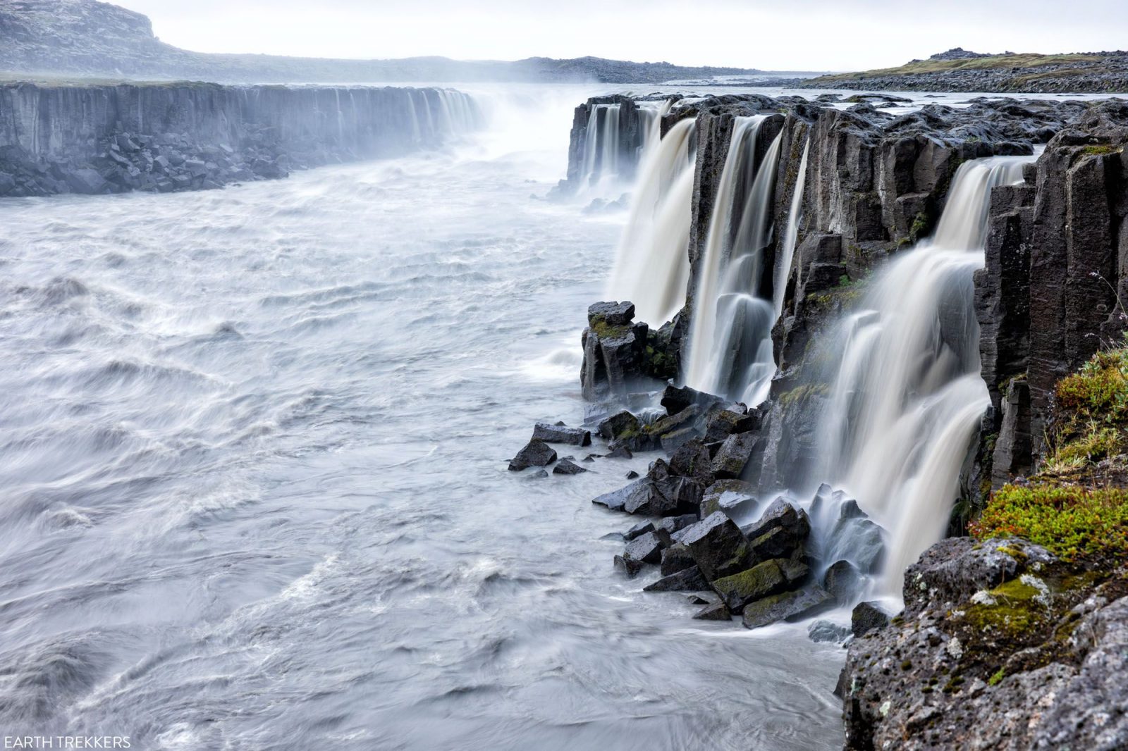 Are You a Master of General Knowledge? Take This True or False Quiz to Find Out Iceland