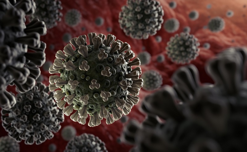 If You Can Score More Than 10/15 on This Coronavirus Quiz, You’re Probably a Doctor 