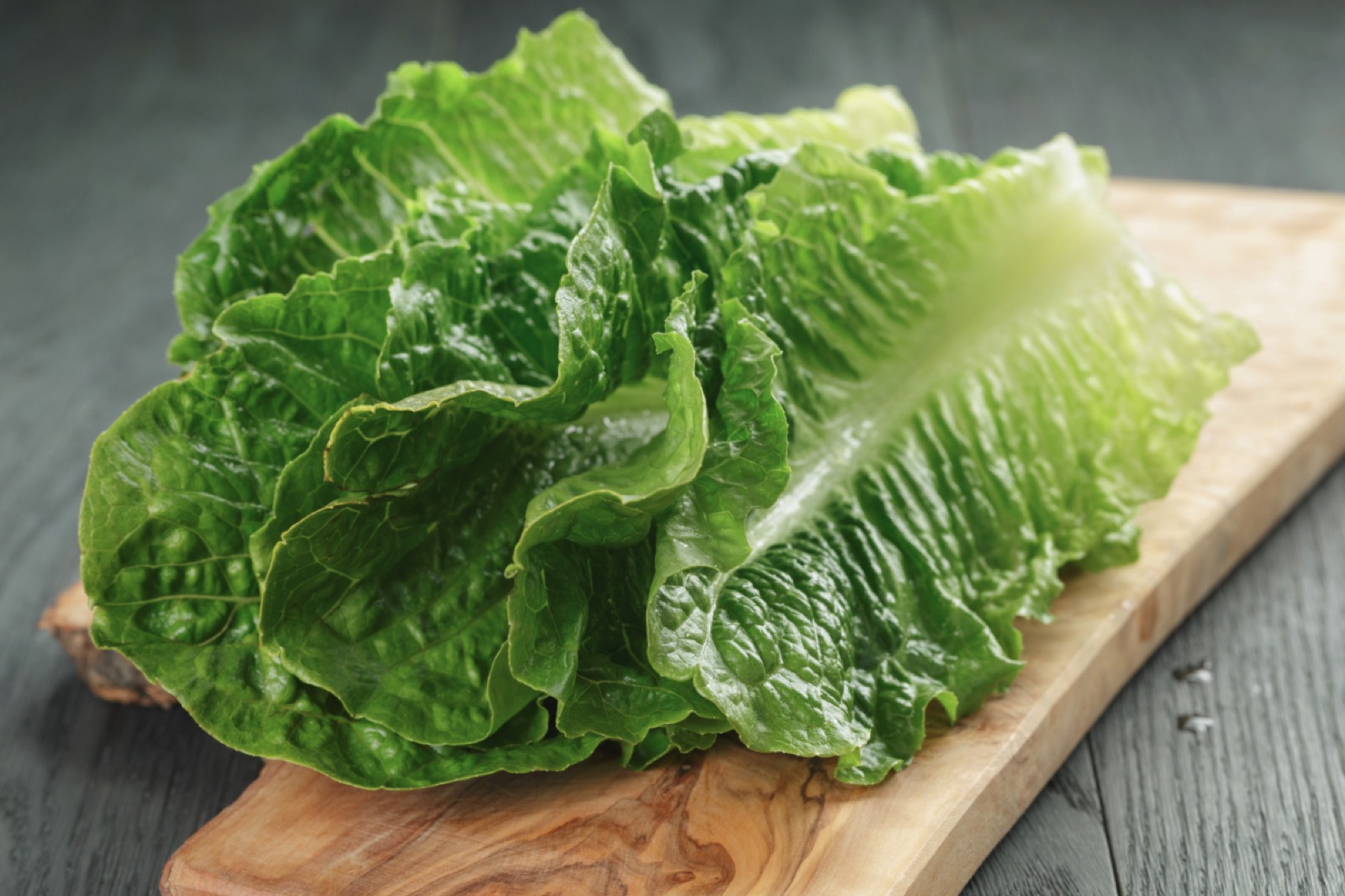 🍆 If You’ll Eat at Least 18/25 of These Vegetables, Then You’re Not a Picky Eater Romaine Lettuce