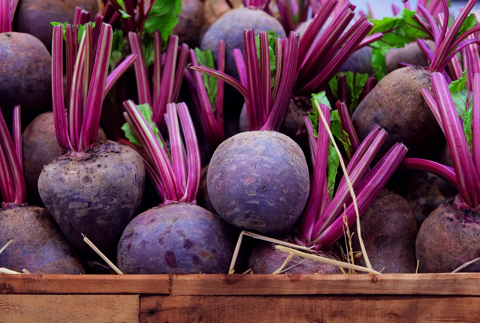 🍆 If You’ll Eat at Least 18/25 of These Vegetables, Then You’re Not a Picky Eater Beets