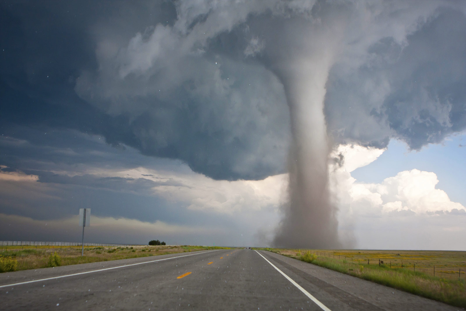 Is Your General Knowledge Better Than the Average Person? Tornado