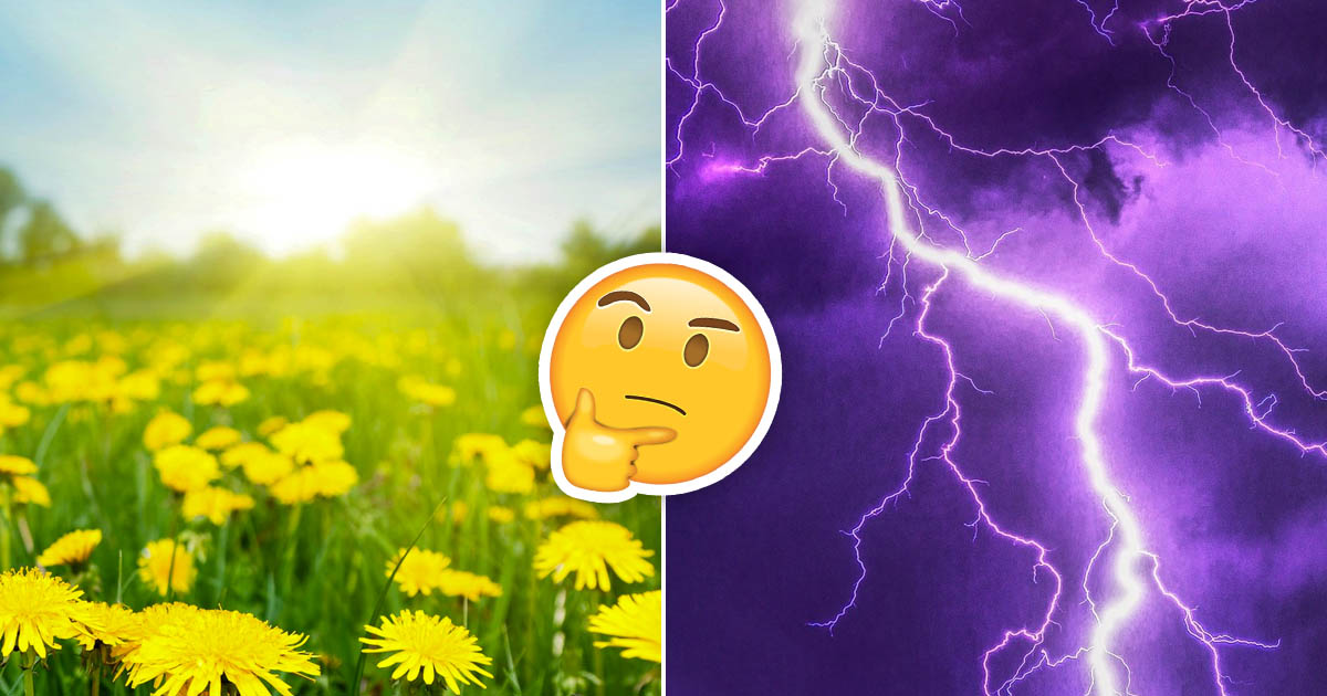 What Weather Am I? Quiz