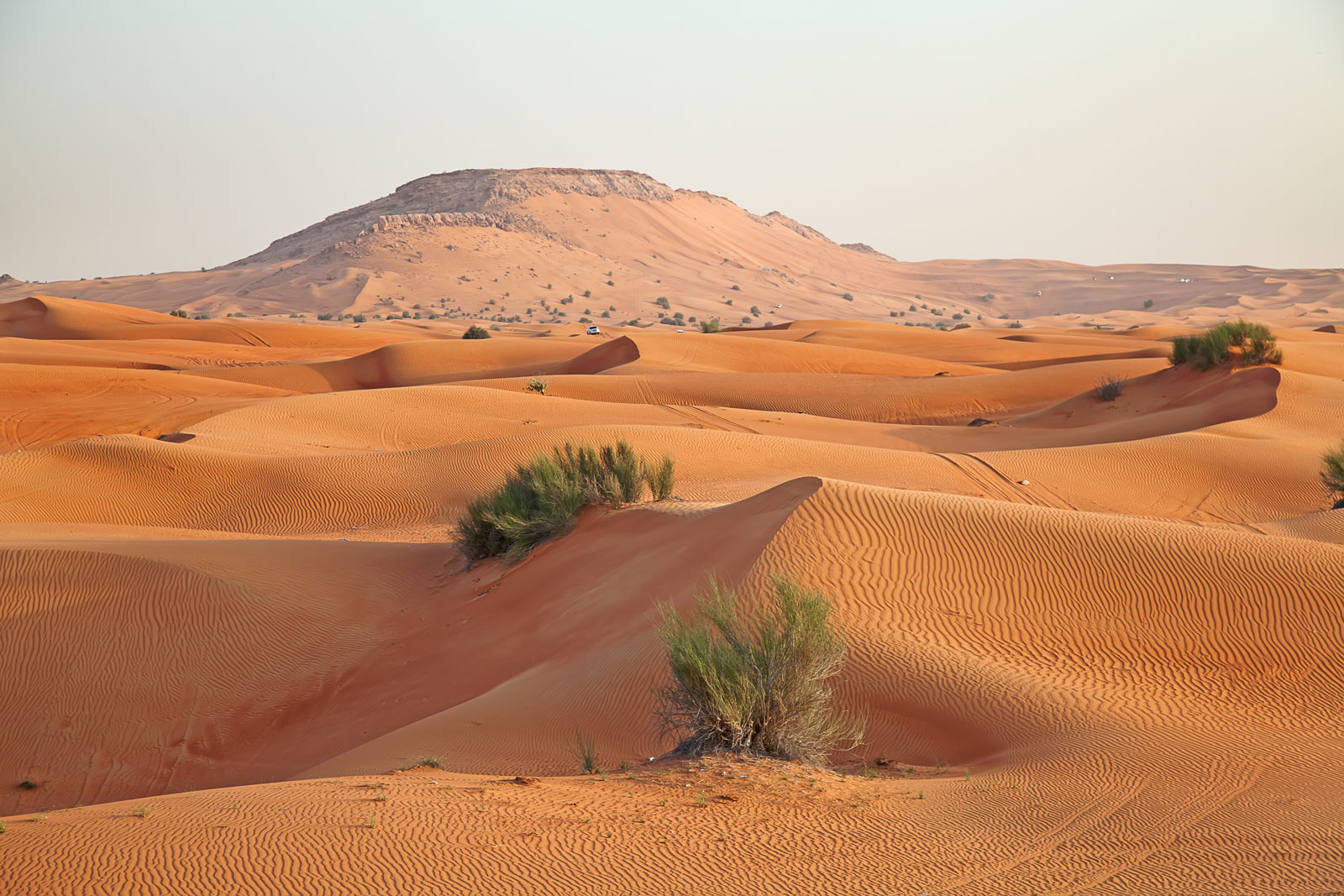 Can You Make It Through the Geography Version of “Two Truths and a Lie”? Arabian Desert