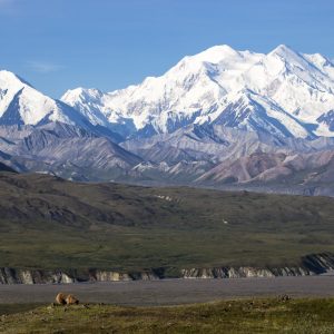 This 25-Question Mixed Trivia Quiz Was Made to Prevent You from Passing. Can You Beat the Odds? Denali